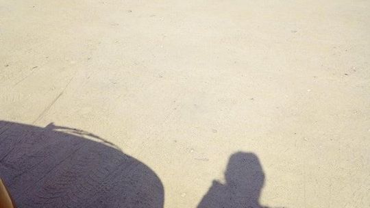 Kierowca autobusu cofał i uderzył w auto osobowe