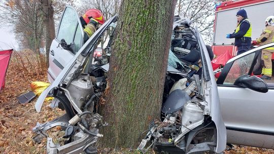 Wjechał prosto w drzewo. Śledztwo ma ustalić przyczyny