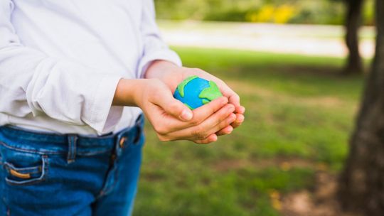 Kilka sposobów na obniżenie śladu węglowego w gospodarstwie domowym