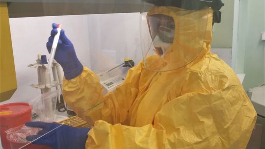 Kilkanaście osób w powiecie zdiagnozowanych