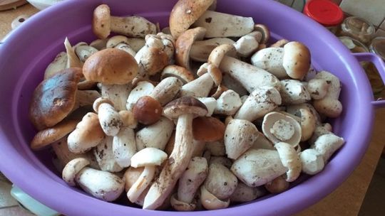 Kobieta mnie pobiła! - skarży się czytelnik i na dowód przesyła zdjęcia