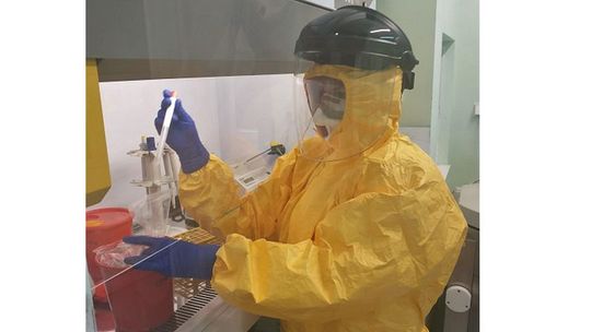 Kolejna osoba w powiecie gryfińskim zakażona wirusem SARS-CoV-2