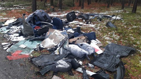 Kolejne „dzikie” wysypisko śmieci w lesie…