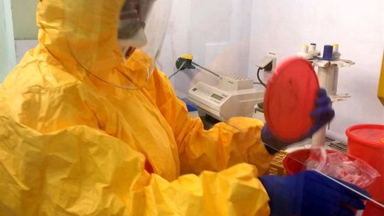 Kolejne zakażenie koronawirusem w Gryfinie