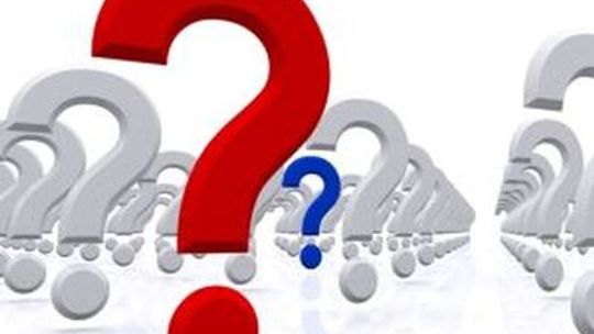 Komitety wyborcze w Gryfinie