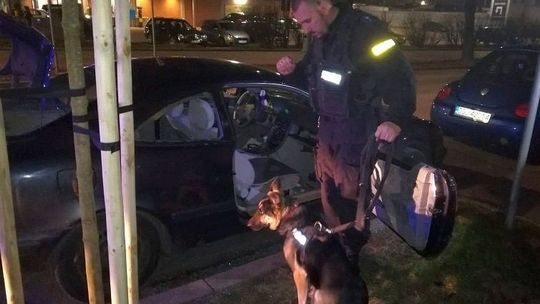 Kompletnie odurzony stracił rozum? Kompletnie odurzony stracił rozum?