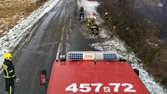 Konar drzewa zablokował drogę. Interweniowali strażacy Konar drzewa zablokował drogę. Interweniowali strażacy