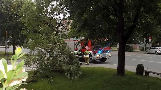 Konar już nie zagraża