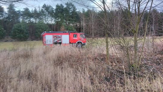 Konar zatarasował ścieżkę rowerową