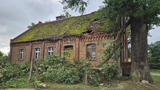 Konar zrobił dziury w dachu. Dziewczyna uratowała własną siostrę