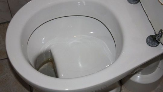 Korzystać można z toalety u sąsiadów lub rodziny – radzi SM Regalica i podaje jeszcze jedno rozwiązanie… 