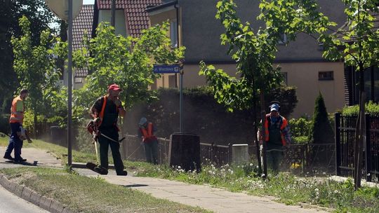 Koszą na Łużyckiej