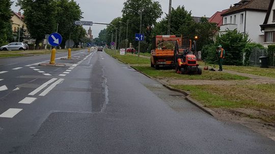 Koszą w Gryfinie i na Międzyodrzu Koszą w Gryfinie i na Międzyodrzu