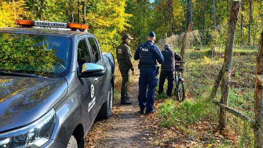 Kradną gałęzie na groby w lasach koło Gryfina! Policja i Straż Leśna ruszyły do wspólnych kontroli