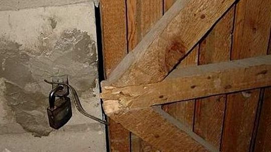 Kradzieże i awantury