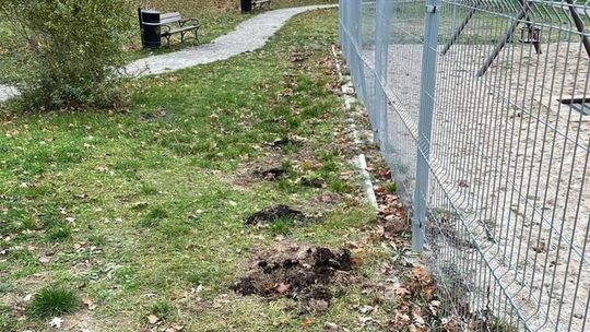 Kradzione są nasadzenia, niszczony plac zabaw, przebijane opony. Mieszkańcy mają dość!