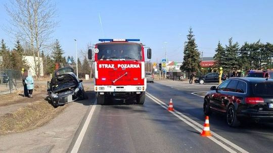 Kronika strażacka powiatu gryfińskiego w połowie kwietnia. Seria pożarów nieużytków oraz ważne akcje ratunkowe