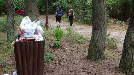 Krzywy Las niczym śmietnik