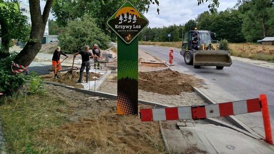 Krzywy Las z nowymi udogodnieniami czeka na turystów. Przyjedź, zobacz, odpocznij!