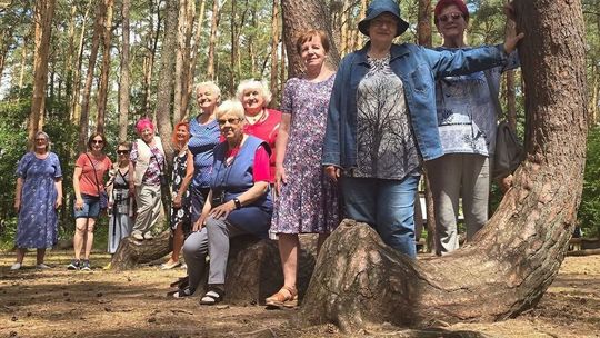 Krzywy Las zawsze budzi emocje