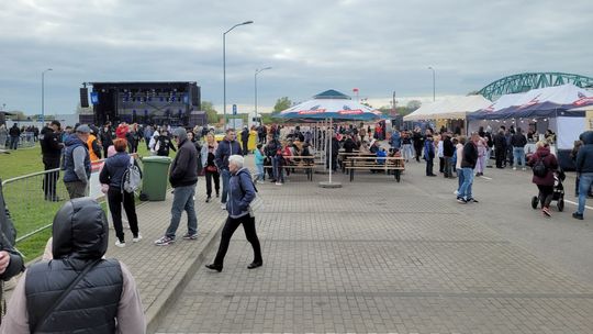 Kto na Dni Gryfina podłożył "cuchnącą świnię"? - pyta czytelnik