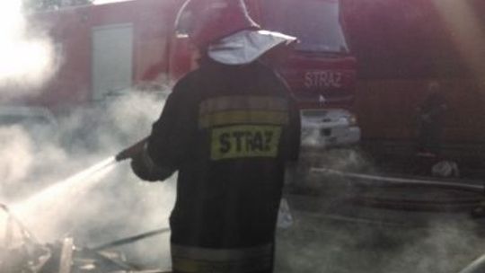 Kto podpala kosze na śmieci