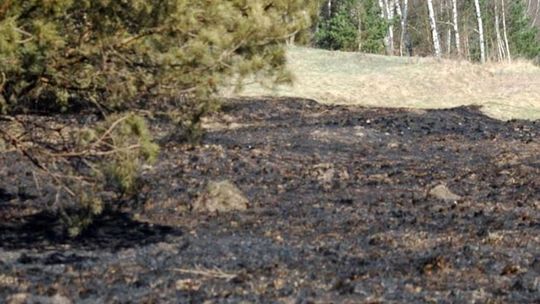 Kto podpalił baloty pod lasem