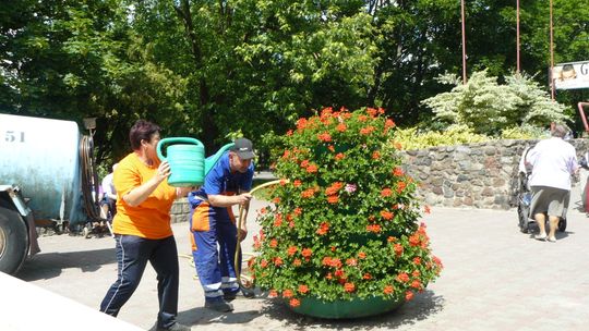 Kto ratował kwietniki