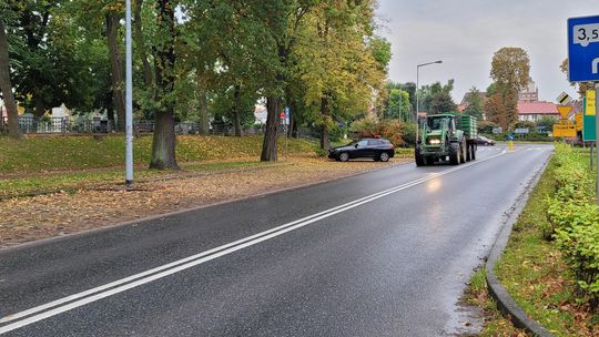 Kto sprzątnie wreszcie śmierdzące truchło koło cmentarza?