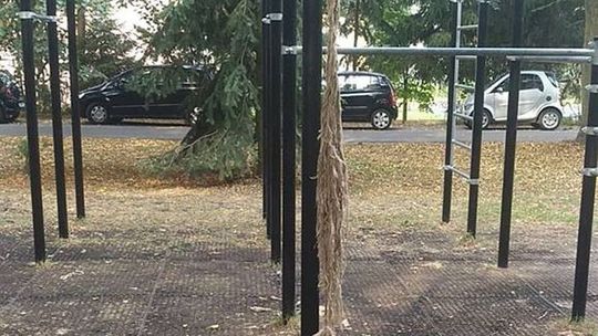 Kto zniszczył linę w parku?!