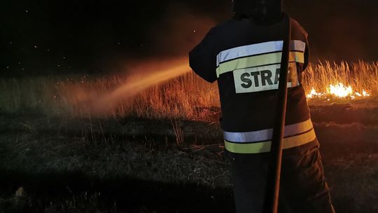 Ktoś podpalił nieużytki Ktoś podpalił nieużytki