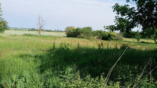 Kupili działkę, ale dojechać do niej nie można, bo gmina wydzierżawiła drogę [LIST]