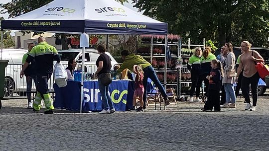 Kwiaty i sadzonki za stary sprzęt. Ekologiczna akcja w Chojnie i Trzcińsku-Zdroju