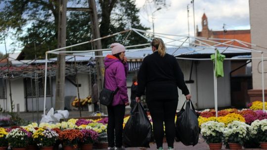 Kwiaty na ryneczku na Wszystkich Świętych