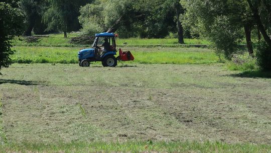 Kwietnej łąki już nie będzie