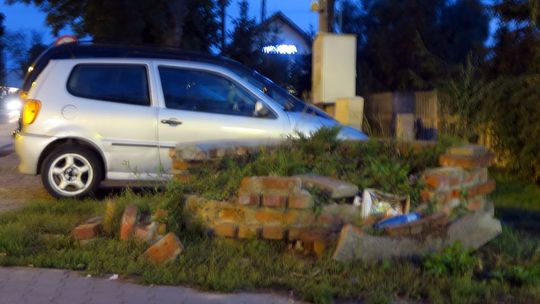 Kwietnik kompletna ruina