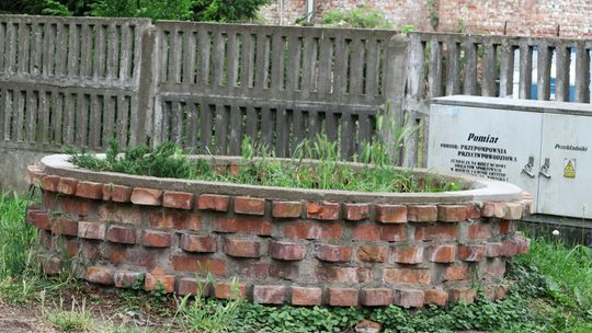 Kwietnik to, czy postrach?