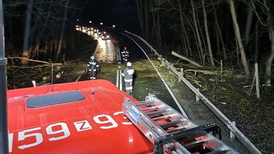 Lało i wiało. Bardzo pracowita noc dla strażaków Lało i wiało. Bardzo pracowita noc dla strażaków