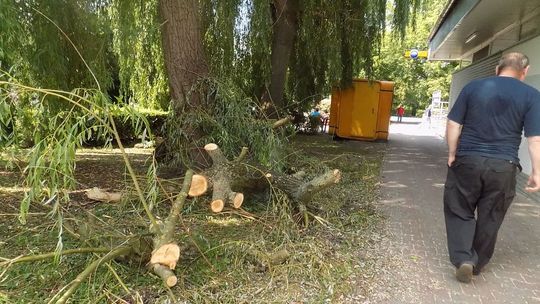 Łamią się jak zapałki, a służby czekają nie wiadomo na co