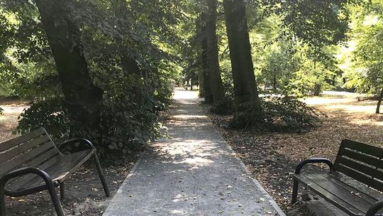 Ławki w parku dla olbrzymów i krasnoludków?