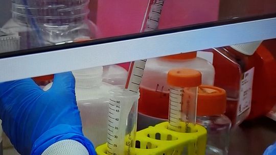 Lepsze dane z weekendu, ale nowy przypadek w naszym powiecie