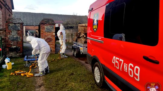 Likwidowali w gospodarstwach ogniska zjadliwej grypy ptaków [FOTO]