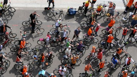 Lis zaprasza na odjazdowych książkożerców