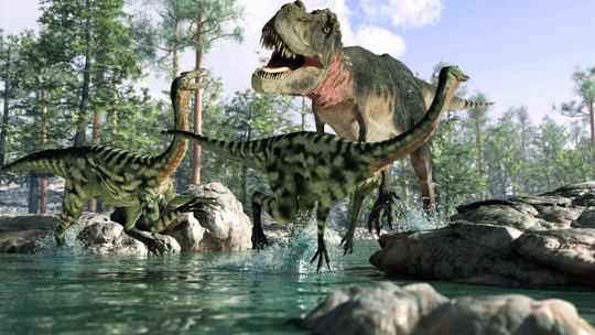 Nasze lęki wynikające z braku wiedzy. Jesteśmy społeczeństwem tylko teoretycznie informacyjnym?