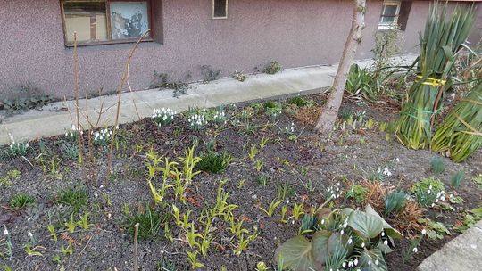 Małe, a jak cieszy!