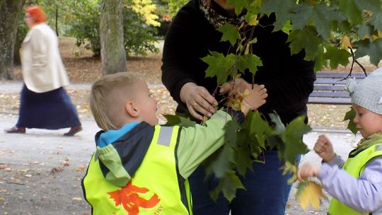 Mam obiecaną mądrą sówkę