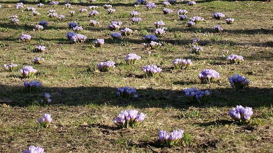 Mamy pomysł na dodatkowy dochód dla gminy Mamy pomysł na dodatkowy dochód dla gminy