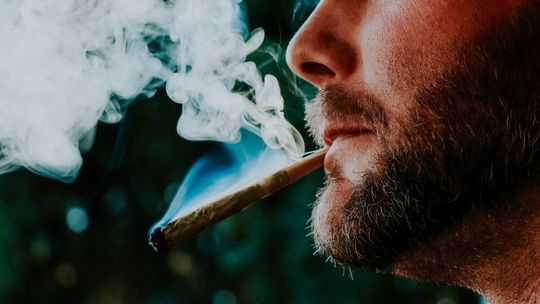 Marihuana medyczna coraz bardziej popularna. Przepisy są bardziej surowe, ale prób ich obejścia nie brakuje