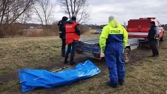 Martwe dziki z podejrzeniem ASF znaleziono na Międzyodrzu Martwe dziki z podejrzeniem ASF znaleziono na Międzyodrzu