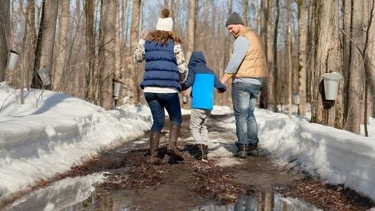 Pogoda na najbliższe dni. Ruch feryjny zmienia kierunek